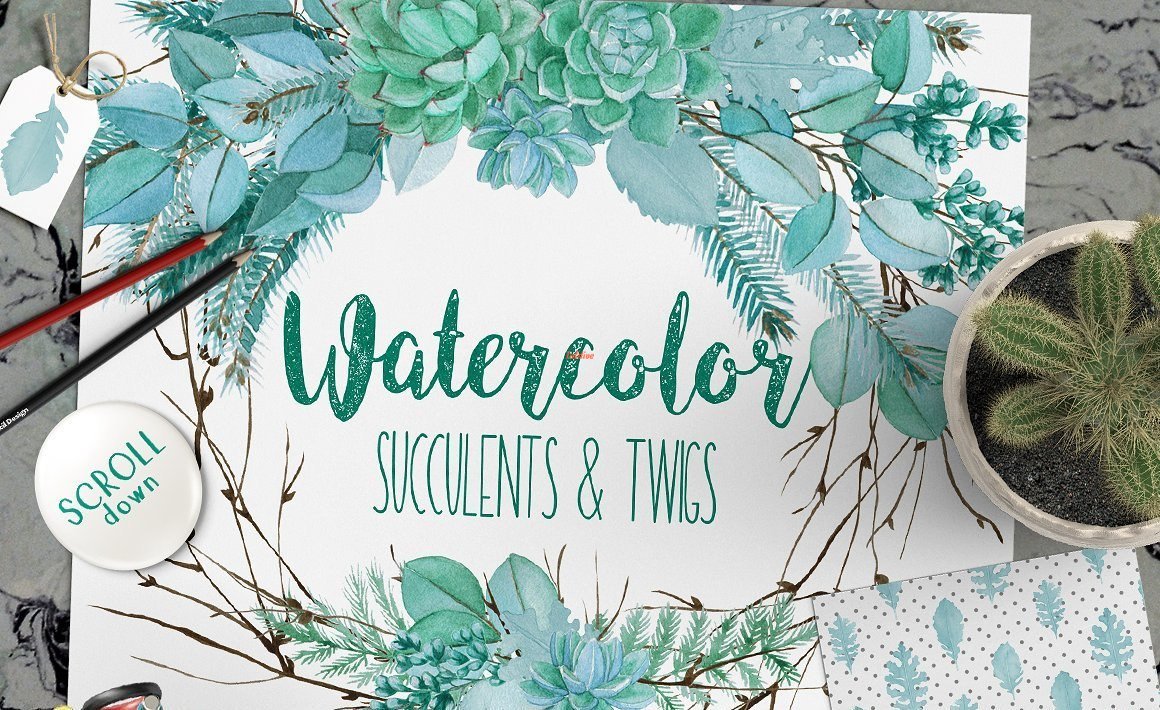 Watercolor Floral Suculents Twigs Sublimation