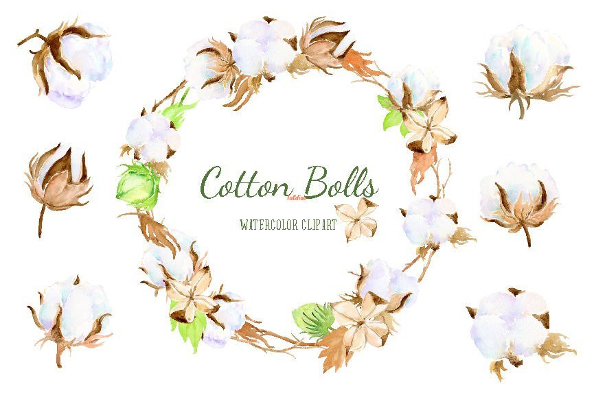 Cotton Bolls and Wreaths clipart illustrations