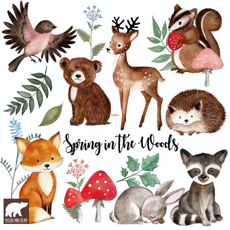 Spring In The woods Clipart