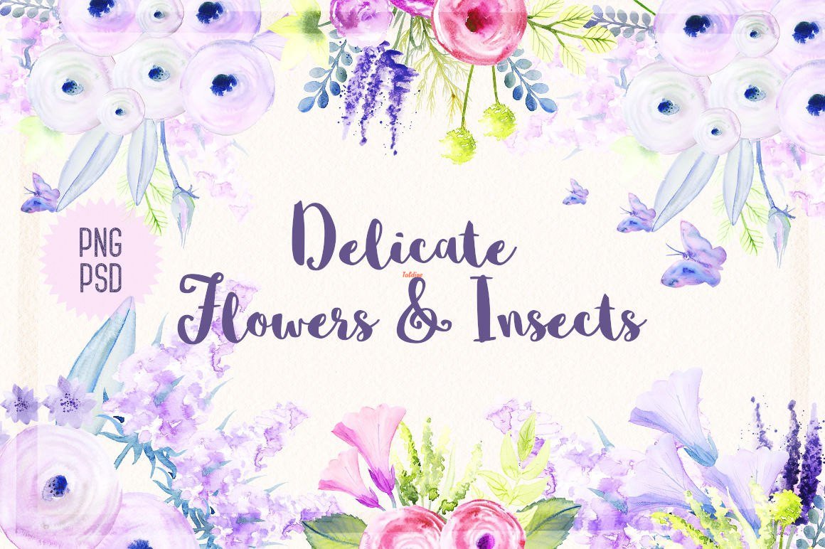 Delicate flowers and insects Clipart