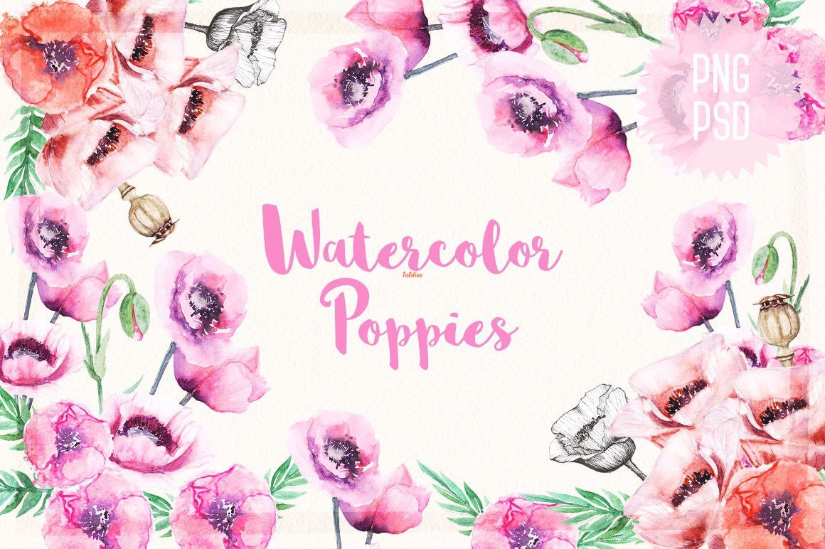 Watercolor Poppies Clipart