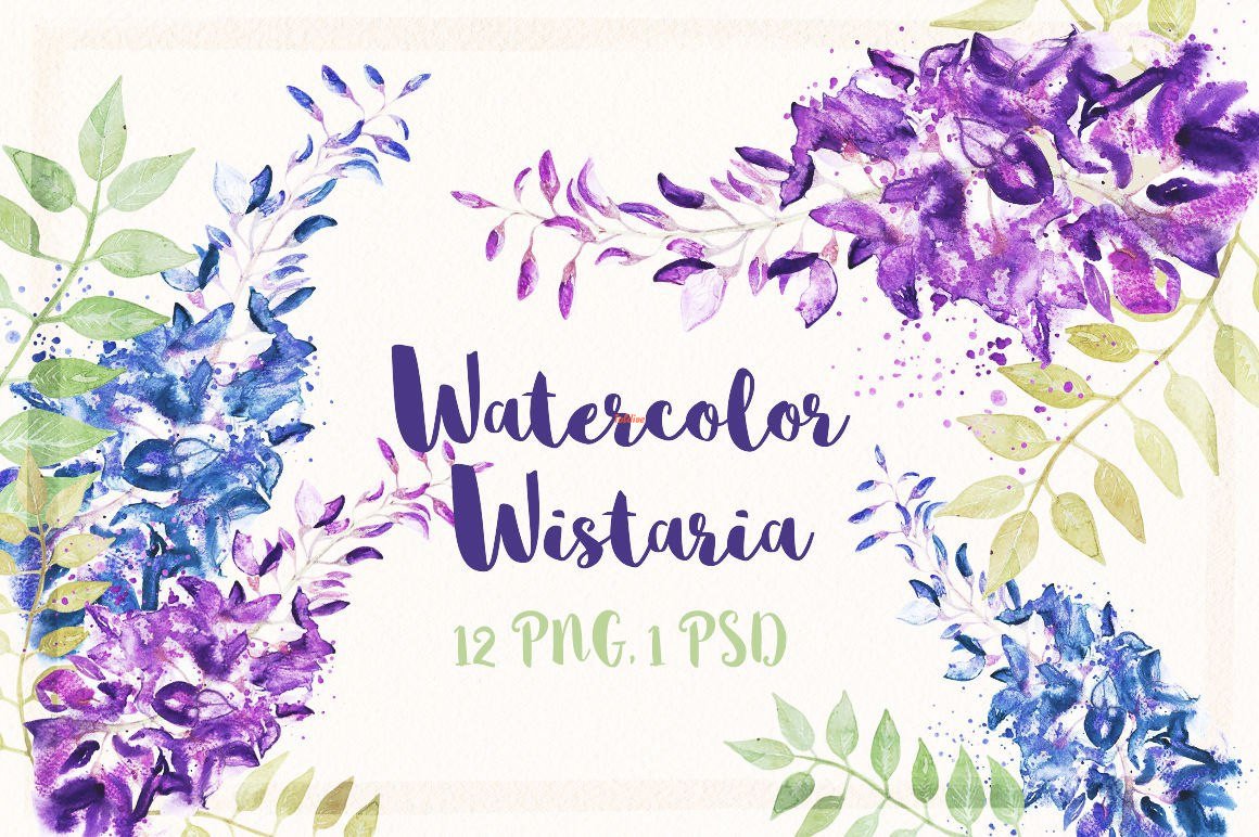 Floral wisteria clipart