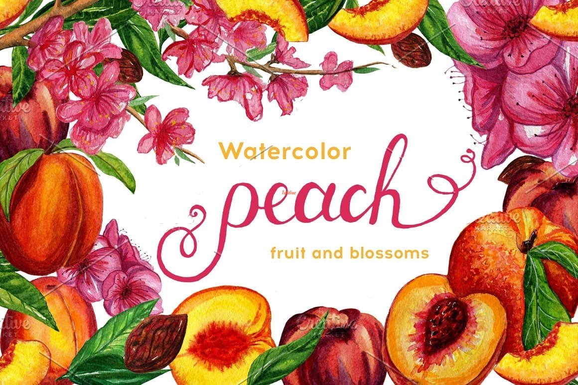 Floral Peach Watercolor Illustration Mega Bundle