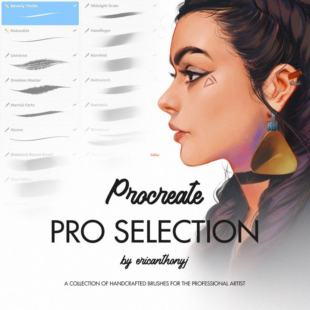 Pro Selection Procreate Brushset