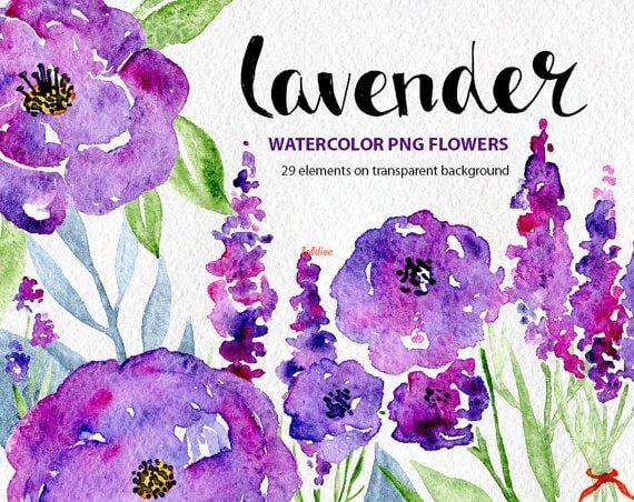 Lavender Flowers Watercolor Sublimation