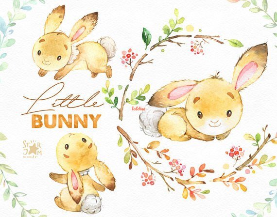 Little Bunny Clipart Bundle