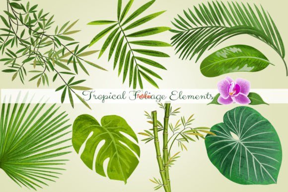 Tropical Foliage PNG- Graphic-Elements