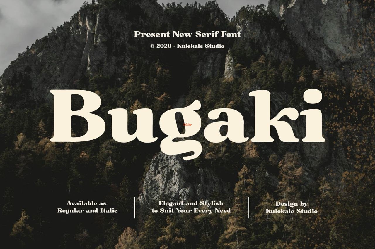 Bugaki - Elegant Serif Font