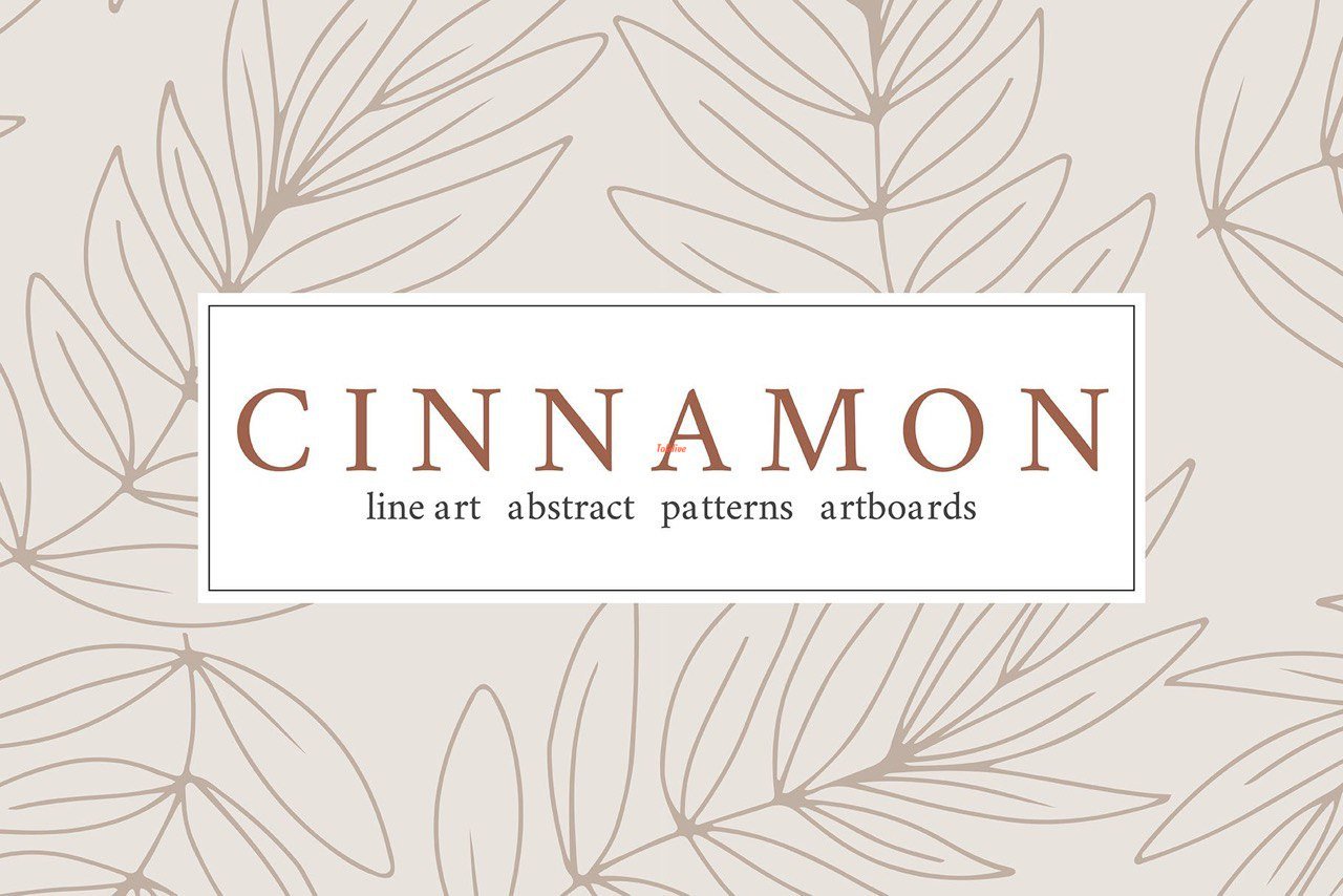 Cinnamon | Modern Line Art Collection